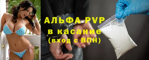 стаф Медногорск