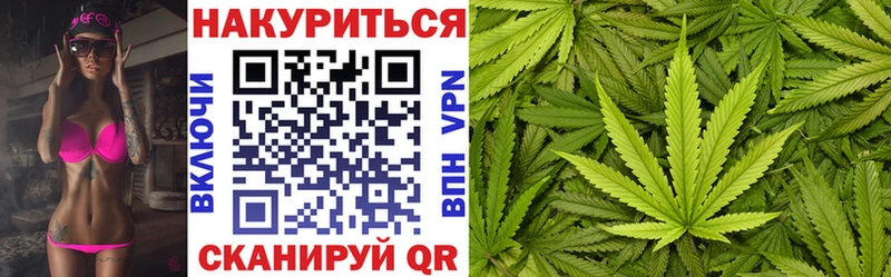 Бошки марихуана THC 21%  Шумиха 